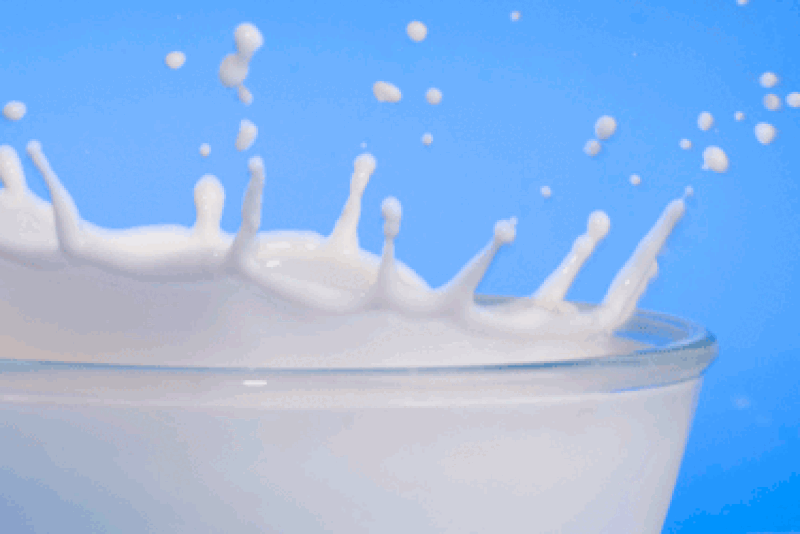 milk.gif