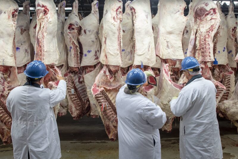 meat packer