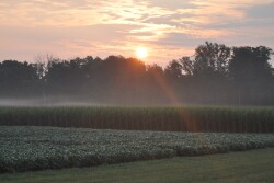Bayer is continuing its pilot program with outcome based pricing in 2020, with a main focus on seed as well as fungicides. 