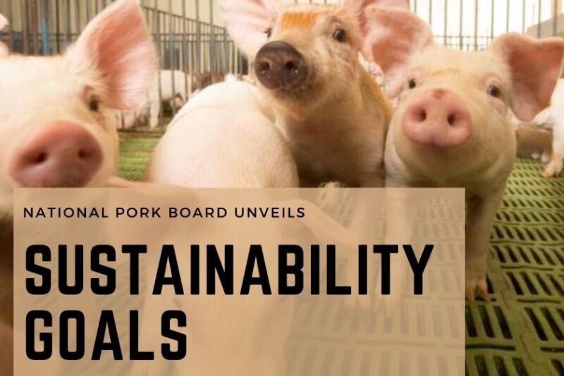 Sustainability Goals