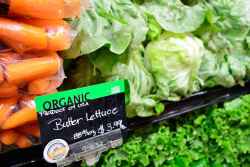 organicvegetables3.jpg