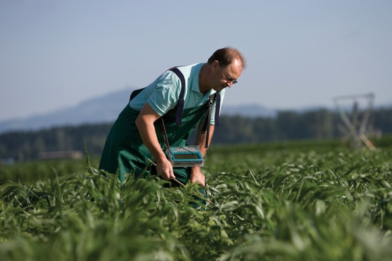Syngenta Group was recently formed to consolidate several entities.