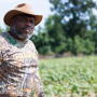 Ricky Dollison is a fourth-generation row crop, specialty crop and livestock farmer in Poulan, Ga. He also is a Farmer Ambassador with Farm Journal Foundation.
