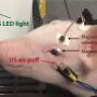 Pig Wired Up