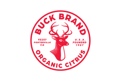 BB logo