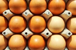 Eggs