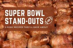Super Bowl Standouts