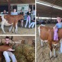 Illinois Teenager 