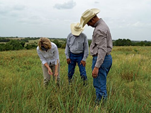 p4-Conservation-Funds.jpg