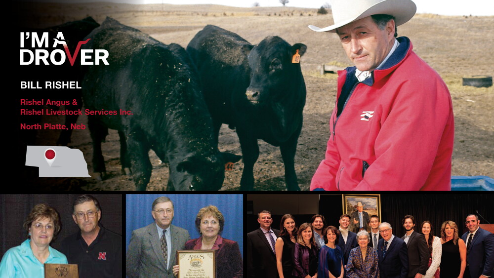 From Cowboys To Cattlemen: History of the U.S. Cattle Industry - Drovers
