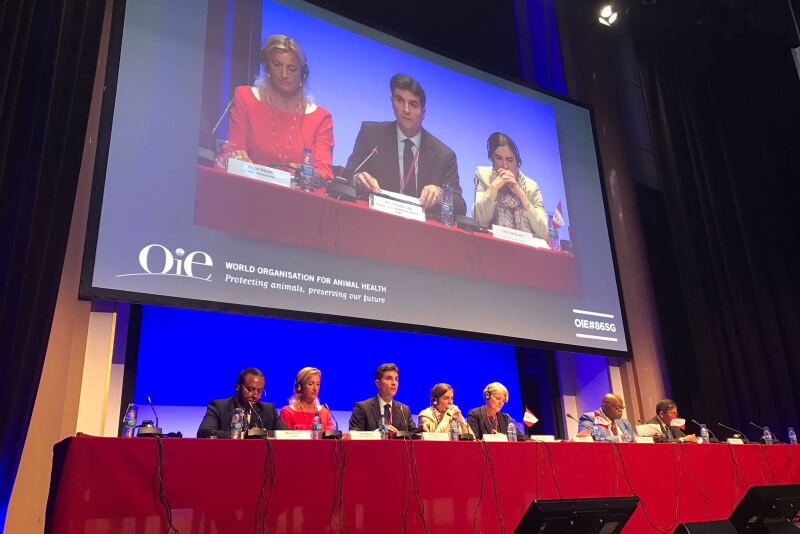 The panel, “Establishing trust in the multilateral trade system through transparency and Standard’s implementation monitoring,” hosted by the OIE on 22 May 2018.



