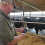 These 5 apps are the most used by top dairy producers.