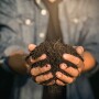 Indigo Ag launches a new initiative, Indigo Carbon.
