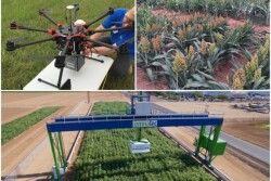 Trials get the high tech treatment with the world’s largest robotic field scanner is operational at the University of Arizona's Maricopa Agricultural Center (MAC).