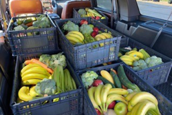 Selling produce boxes to consumers is one way that wholesalers are generating sales to replace foodservice sales lost because of the COVID-19 pandemic.
