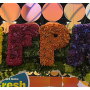 IPFA-Flower-garden.jpg