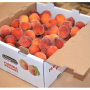 Sampling programs help introduce shoppers to Florida peaches, which are unique in that they are ripened on the tree.