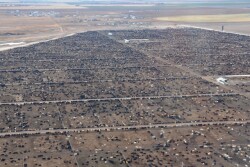 BT_Airplane_View_Feedlot
