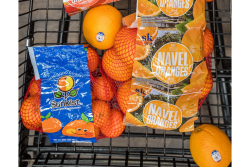 sunkist citrus