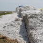 Cotton Modules Destroyed by Hurricane Harvey