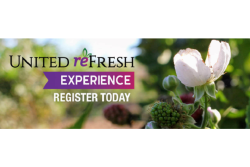 United  Fresh