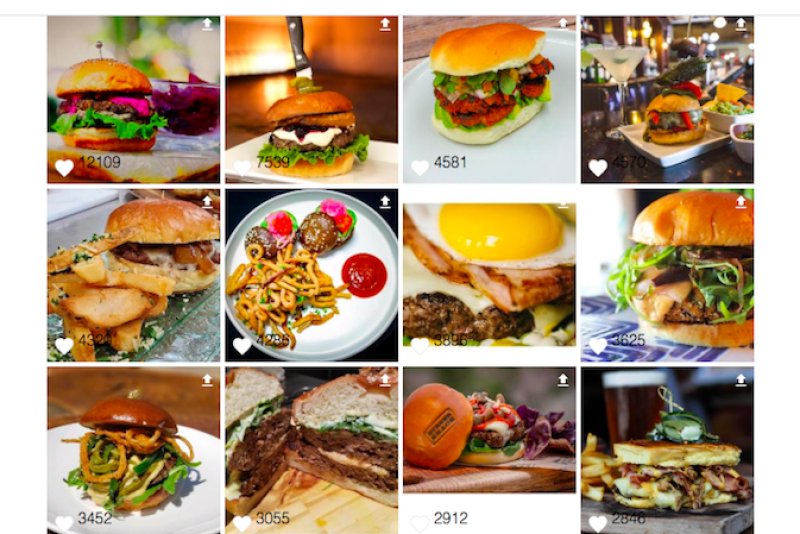  Blended Burger Project
