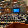 United Nations’ multi-stakeholder hearing on antimicrobial resistance