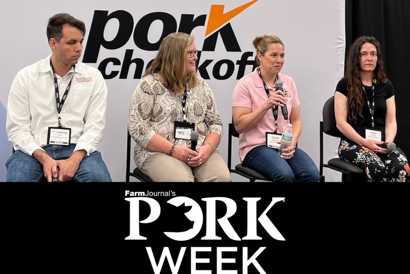 Veterinarianpanel_wpx