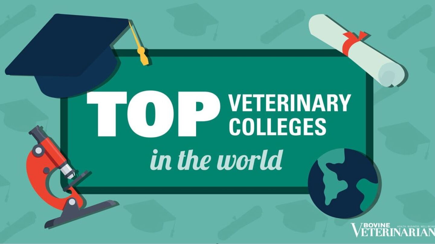 Top 10 Veterinary Colleges Announced Pork Business