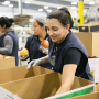 Chilean packing line workers fill cartons with Honeycrisp apples for export to the U.S., where they will be marketed by Honeybear Brands.