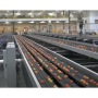 CMI Orchards packing line.PNG