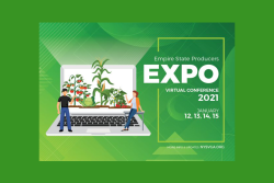 Empire State Expo