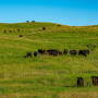 Minnechaduza Creek Ranch
