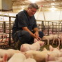 "It's our job to protect our farm," says Barb Determan. "It's really important that we as producers take that responsibility – that we take it on personally and take it on daily."