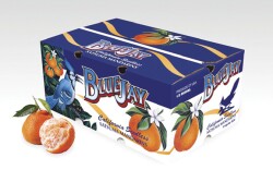 Johnston Farms has updated its half-bushel mandarin carton, says Derek Vaughn, citrus sales manager.