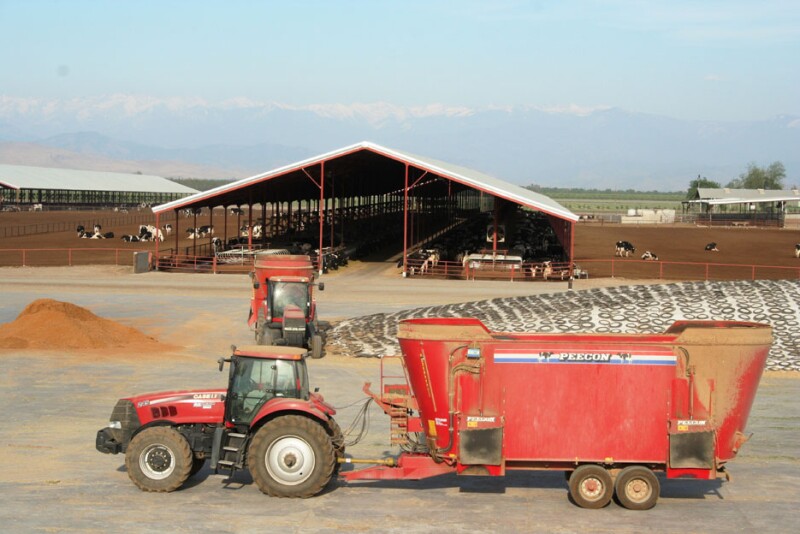 Silage_-_Ron_Kuber_4-09_193_-_Copy