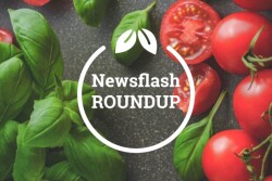 Newsflash Roundup