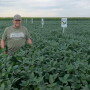 Bob Lindeman in Minnesota Soybeans