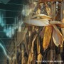 Corn Markets Corn Prices - Lindsey Pound and Pixabay