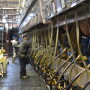 DT_Dairy_Parlor_Workers