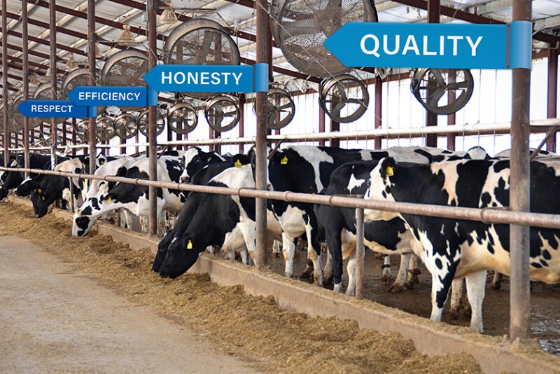 MILK-Core-Values-840.jpg