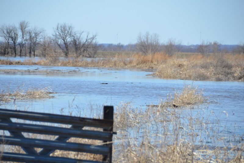 Nebraska producers may receive help from USDA.