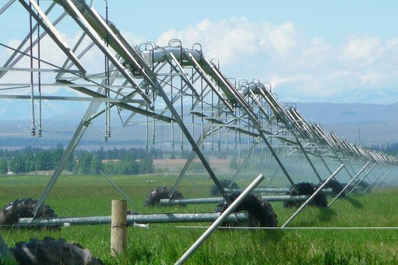 irrigation-403371_1280.jpg