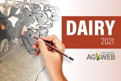 Dairy Outlook 2021
