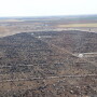 BT_Feedlot_Cattle_Airplane
