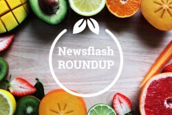 Newsflash Roundup
