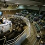 auction market