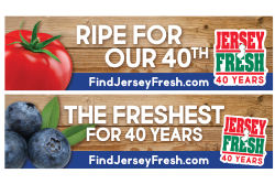 Jersey Fresh 40th