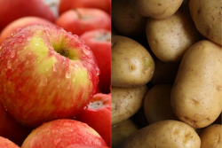 Apples, potatoes, nuts and strawberries are the leading specialty crops receiving assistance via direct payments from the Coronavirus Food Assistance Program, according to the USDA.