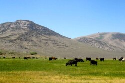 Lost Peaks Ranch
